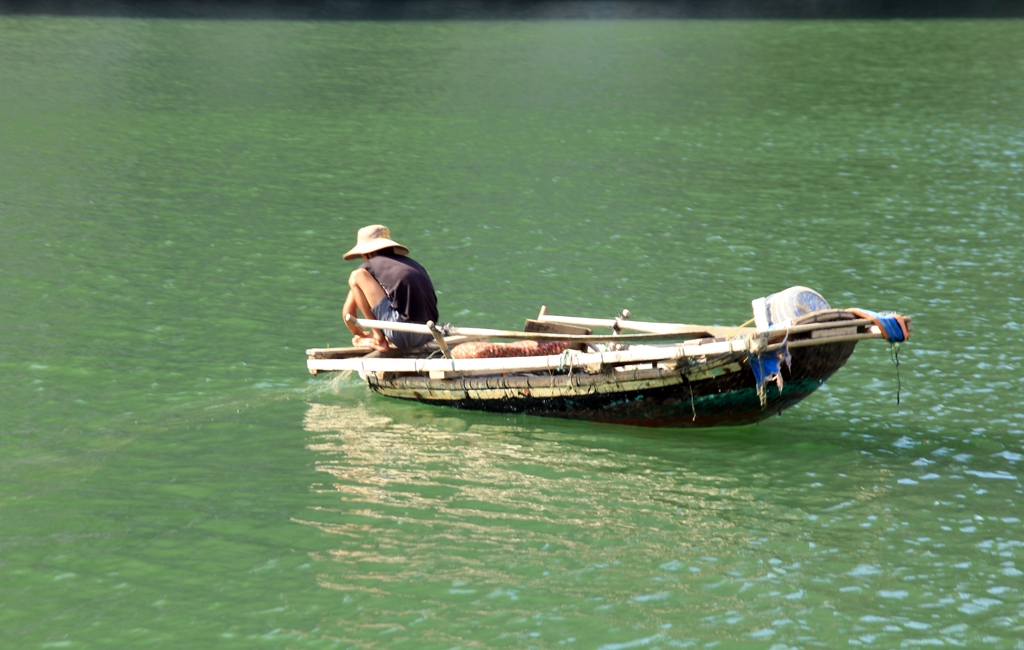 Signature_Lan_ha_bay_Viethai_daily_life